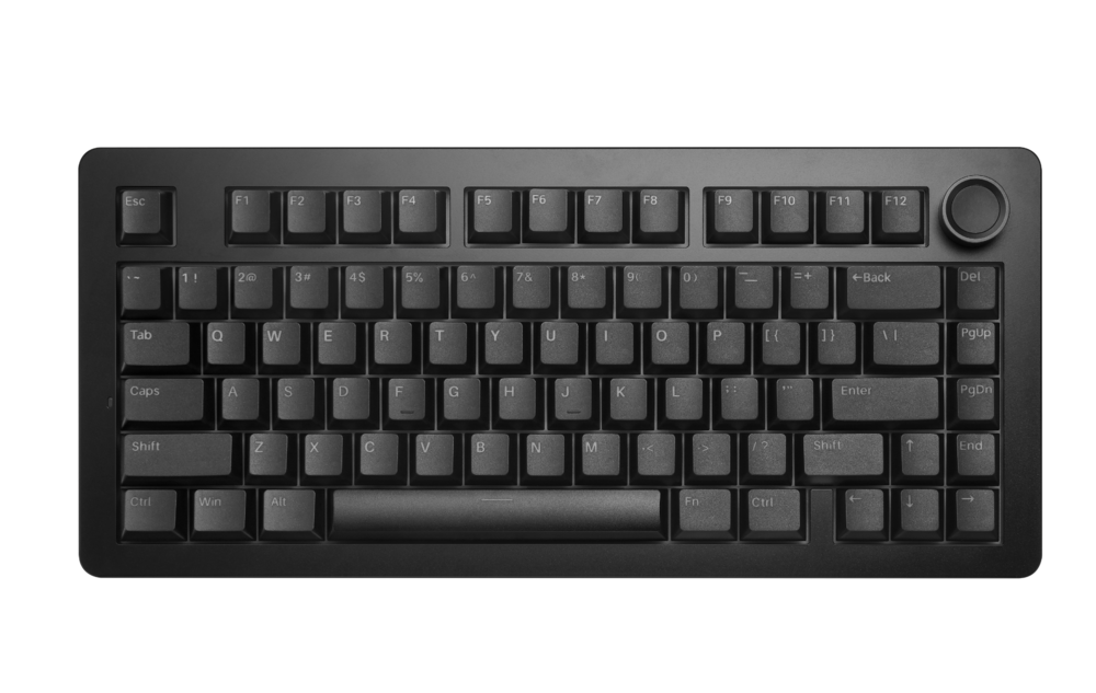 FINEDAY M80_Black Line